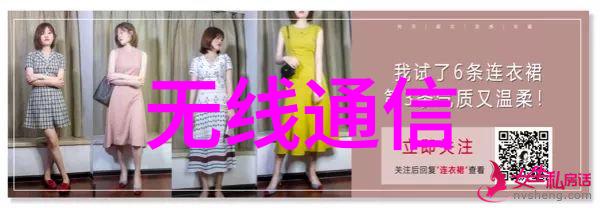 智联赢魏来 共创新 2025魏德米勒经销商大会举行