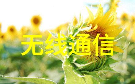 新店开业业内最低价优惠巨大