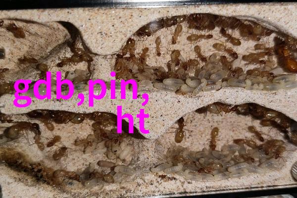 微软全球吹响全面就位云号角